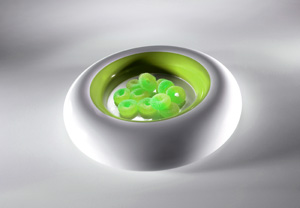 Mebel Green Entity 2 Round Dish 24 x 24 x 4cm MBEN02GR